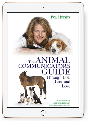 Free chapter: The Animal Communicator's Guide Through Life, Loss and Love