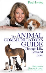 Animal Communication Guide Through Life, Loss and Love