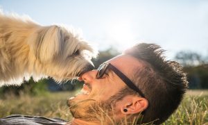 dog licking smiling man's nose