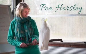 Pea Horsley - Animal Communicator