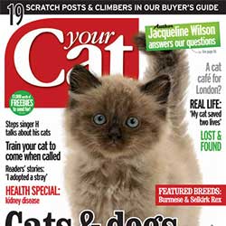 YourCat-March2013