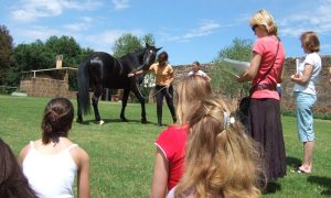 Animal Thoughts Workshop with a horse