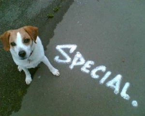 Morgan next to the word "special" spray painted on the street