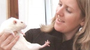 Animal Thoughts - Rats Advice For Humanity