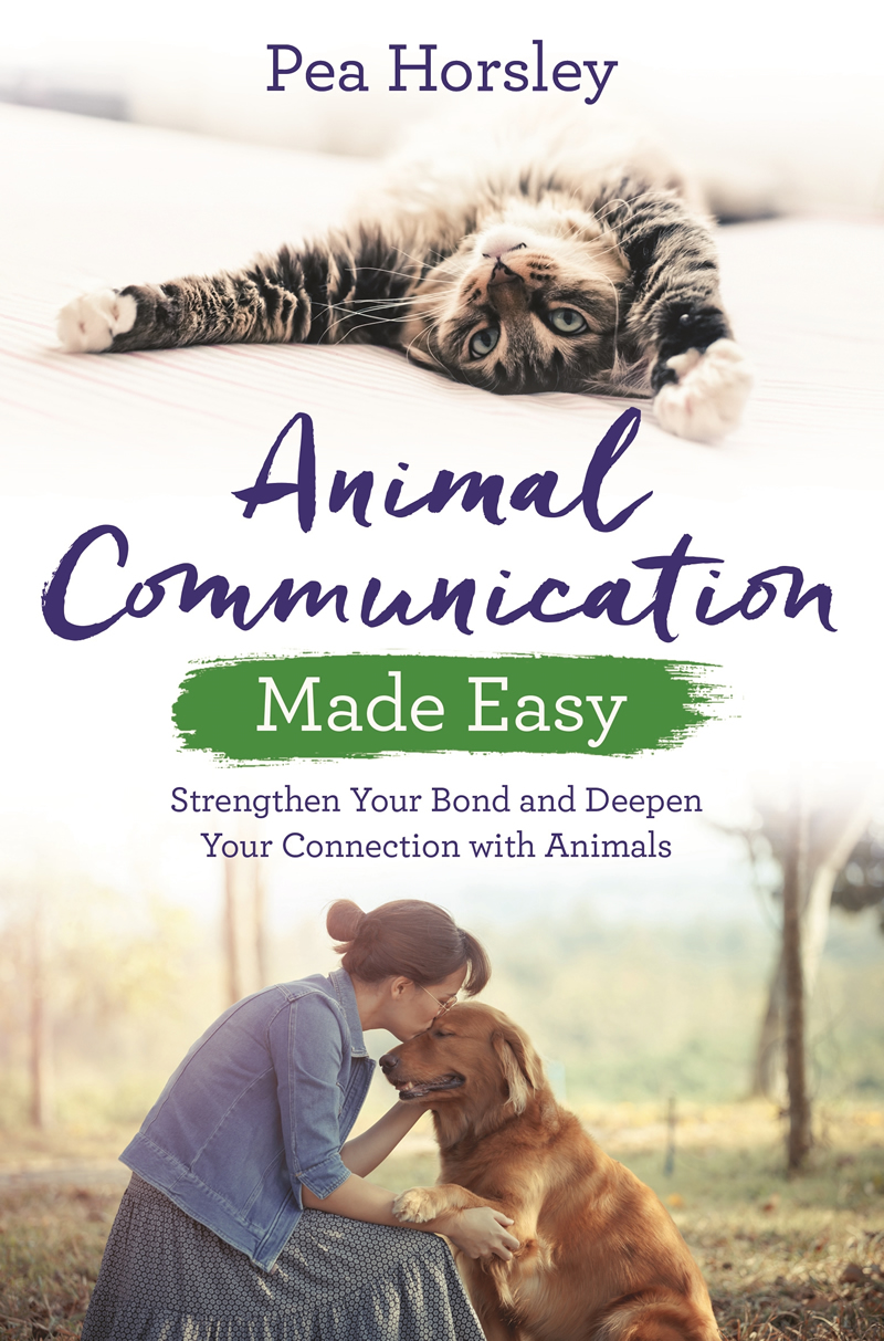 Animal Communication Made Easy