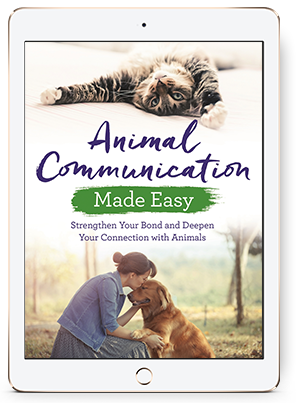 Animal Communication Made Easy