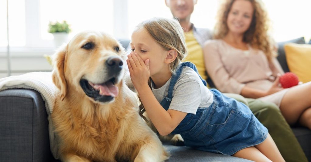 Telepathy Dogs How to Communicate Telepathically with Animals - Animal Thoughts