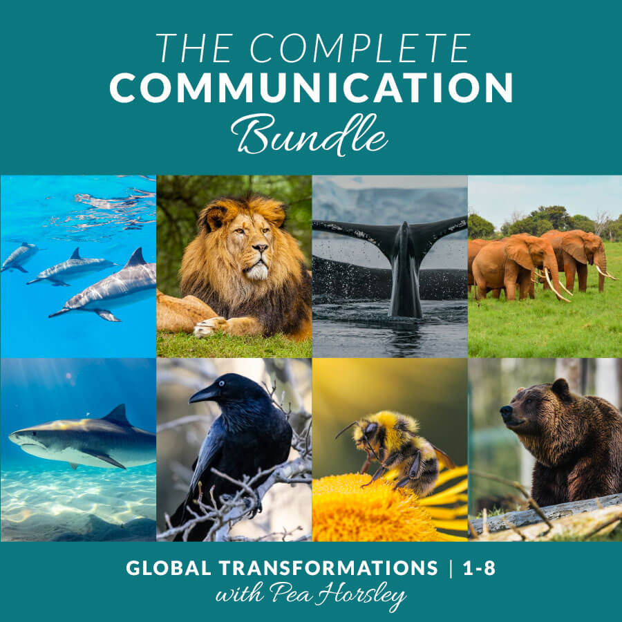 Animal Communication Pea Horsley Animal Communicator