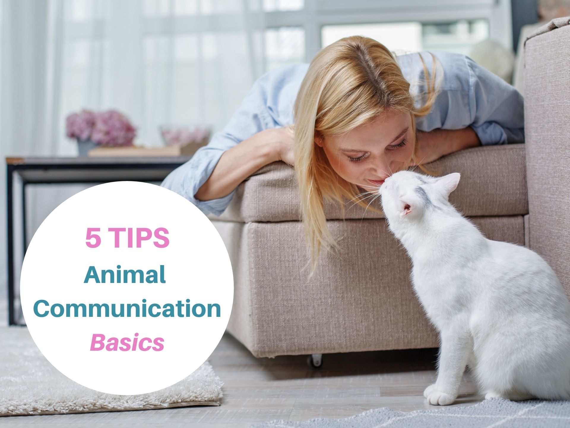 5 Tips For Basic Animal Communication - Animal Thoughts