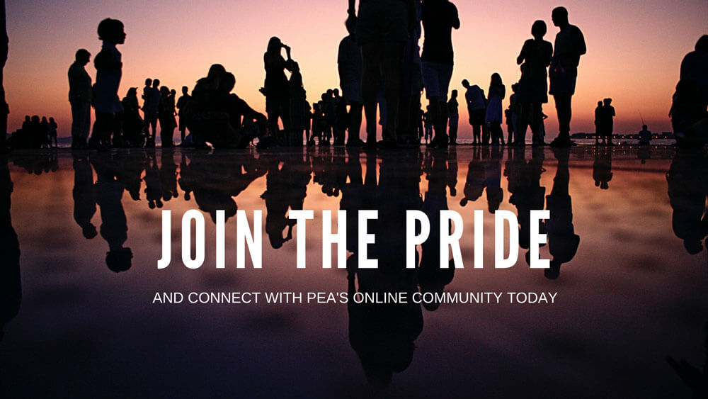 JOIN THE PRIDE AND CONNECT WITH PEA'S ONLINE COMMUNITY TODAY