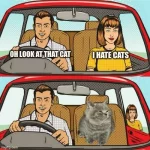 Instagram post 17972941433797620